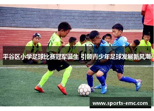 平谷区小学足球比赛冠军诞生 引领青少年足球发展新风潮 平谷区小学足球比赛冠军诞生 引领青少年足球发展新风潮