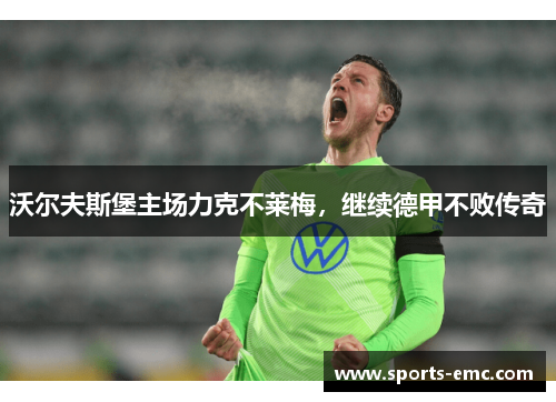 沃尔夫斯堡主场力克不莱梅，继续德甲不败传奇