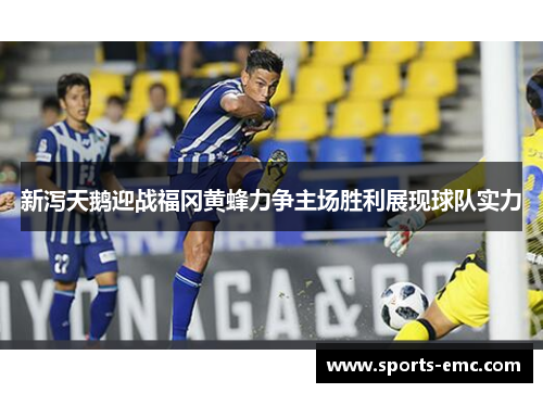新泻天鹅迎战福冈黄蜂力争主场胜利展现球队实力